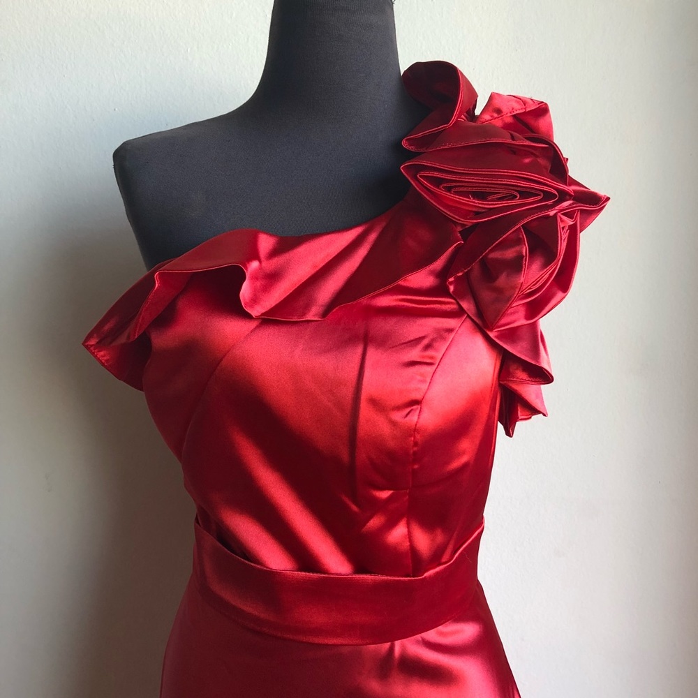 Cinderella Divine beautiful ruffle cocktail dress - Picture 3 of 8